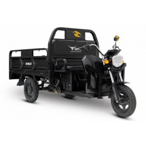 Грузовой электротрицикл Rutrike D4 1800 60V1200W